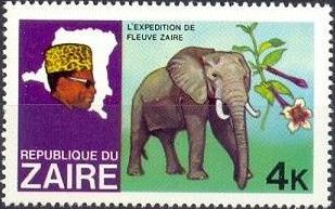 African Elephant (Loxodonta africana)