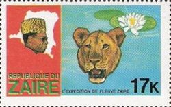 Lion (Panthera leo), Water Lily