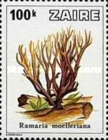 Ramaria moelleriana