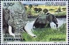 African Elephant (Loxodonta africana)