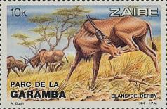 Giant Eland (Taurotragus derbianus)