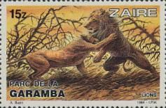 Lion (Panthera leo)