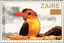 African Pygmy Kingfisher (Ispidina picta) - Surcharged