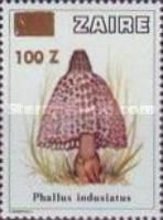 Phallus indusiatus - Surcharged