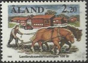 Plowing with Horse (Equus ferus caballus)