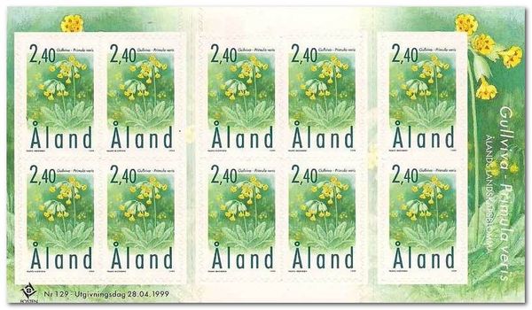 Cowslip (Primula veris)