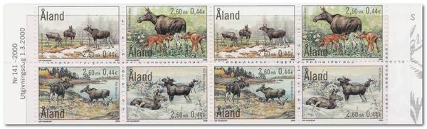 Moose (Alces alces)