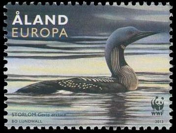 Black-throated Loon (Gavia arctica)
