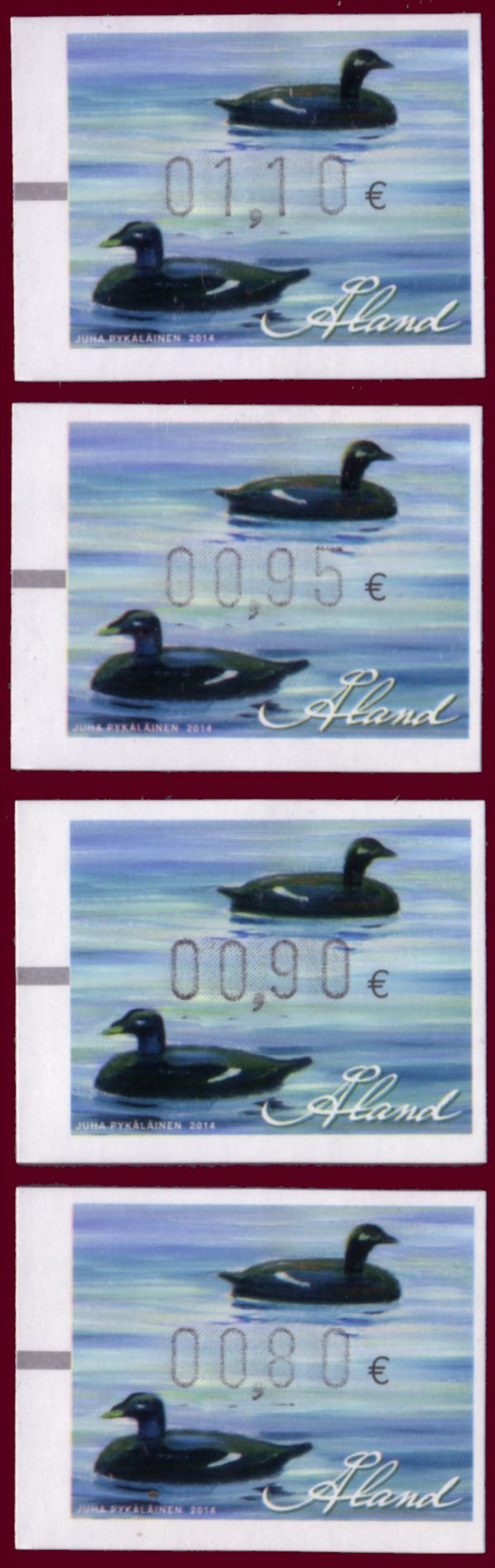 Artificial Velvet Scoter