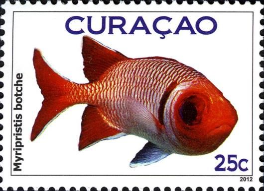 Blacktip Soldierfish (Myripristis botche)