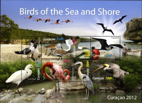 Birds of the Sea & Shore