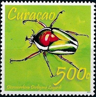 Flower Beetle (Dicronorrhina layardi)