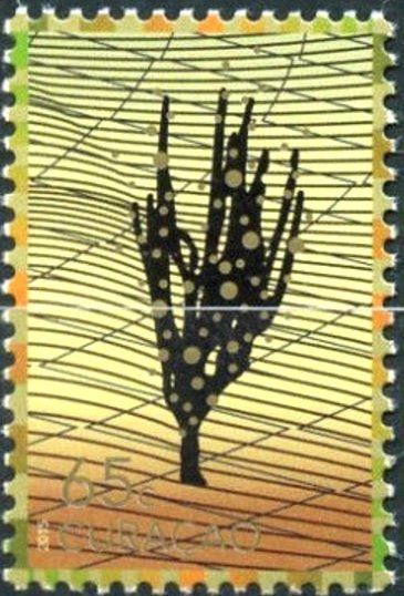 Cacti