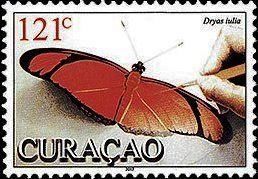 Julia Butterfly (Dryas iulia)
