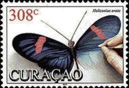 Heliconius erato