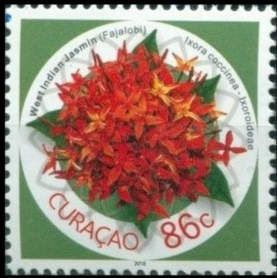 West Indies Jasmine (Ixora coccinea)