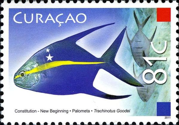 Cherubfish (Centropyge argi)