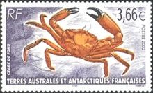 Crab