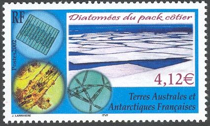 Pack Coastal Diatoms