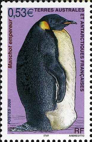 Emperor Penguin (Aptenodytes forsteri)