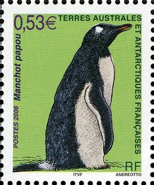 Gentoo Penguin (Pygoscelis papua)