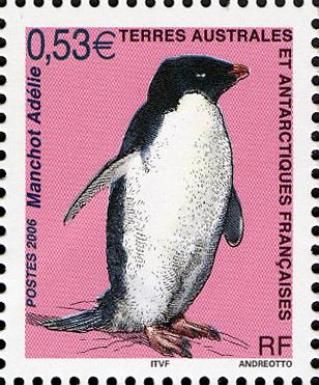 Adelie Penguin (Pygoscelis adeliae)