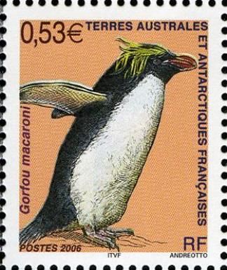 Macaroni Penguin (Eudyptes chrysolophus)