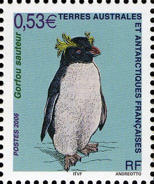 Rockhopper Penguin (Eudyptes crestatus)