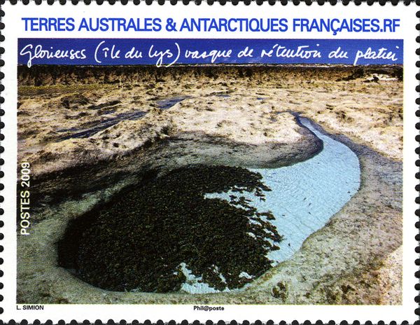 Ile du Lys.