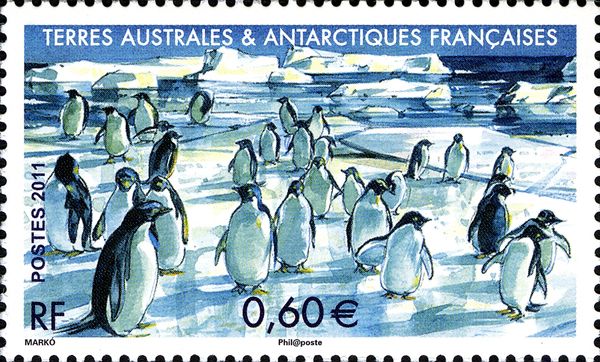 Adelie Penguins