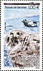 Weddell Seal (Leptonychetes weddelli)