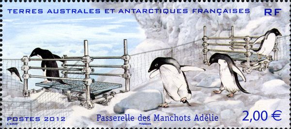 Adelie Penguin (Pygoscelis adeliae)