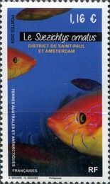 Suezichthys ornatus