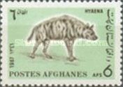 Striped Hyaena (Hyaena hyaena)