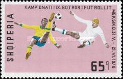 Two soccer players in game scene