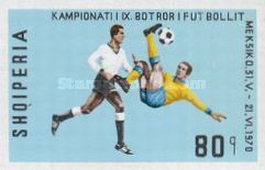 Two soccer players in game scene