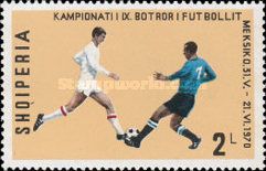 Two soccer players in game scene
