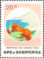 Oranges