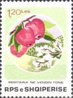 Apples