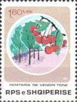 Cherries