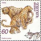 Leopard (Panthera pardus)