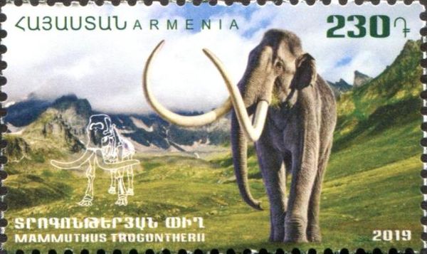 Steppe Mammoth (Mammuthus trogontherii)