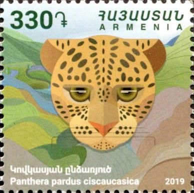 Caucasian Leopard (Panthera pardus ciscaucasica)