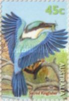 Sacred Kingfisher (Todiramphus sanctus)