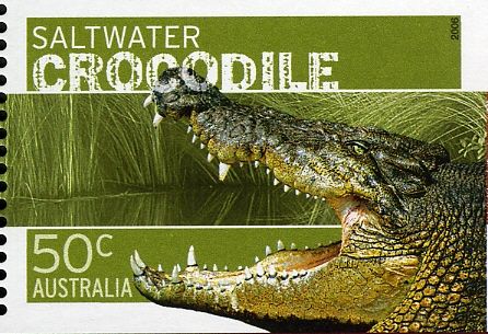 Saltwater Crocodile (Crocodylus porosus)