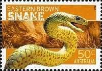 Eastern Brown Snake (Pseudonaja textilis) - Coil stamp