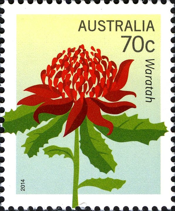 Waratah (Telopea speciosissima)