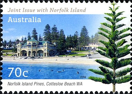 Norfolk Island Pines, Cottesloe Beach, WA