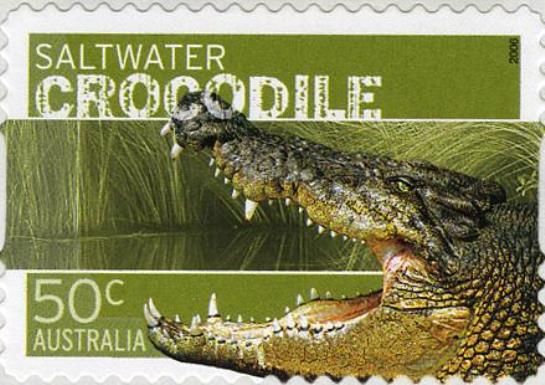 Saltwater Crocodile (Crocodylus porosus)