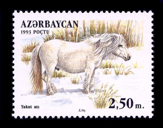 Yakutian Horse (Equus ferus caballus)